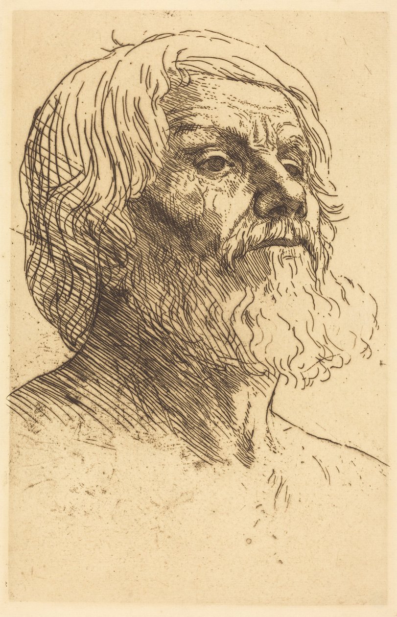 Hlava muže od Alphonse Legros