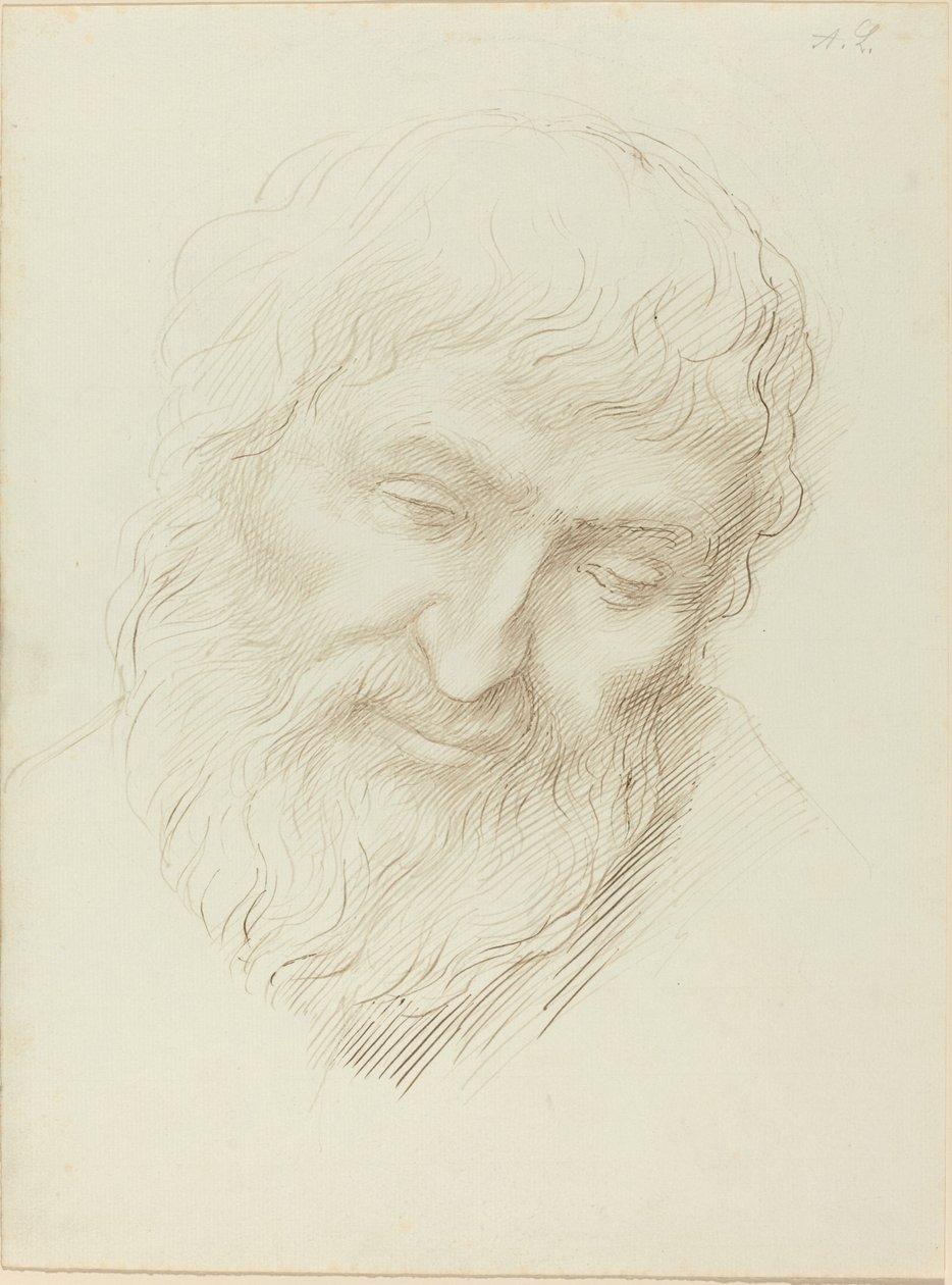 Hlava muže od Alphonse Legros