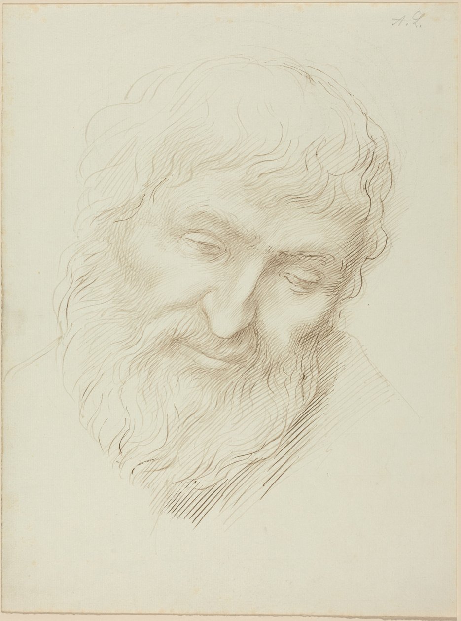 Hlava muže od Alphonse Legros