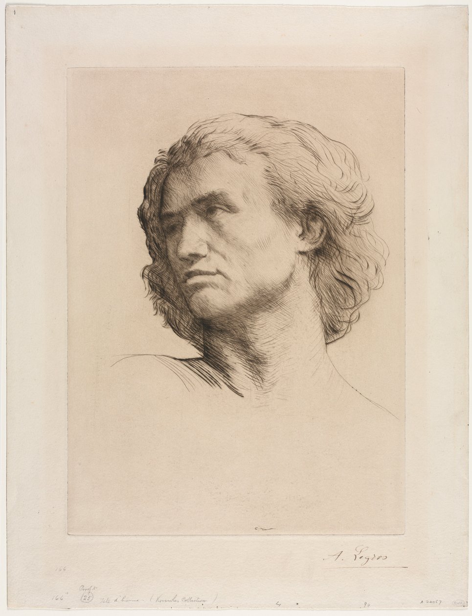 Hlava muže. od Alphonse Legros