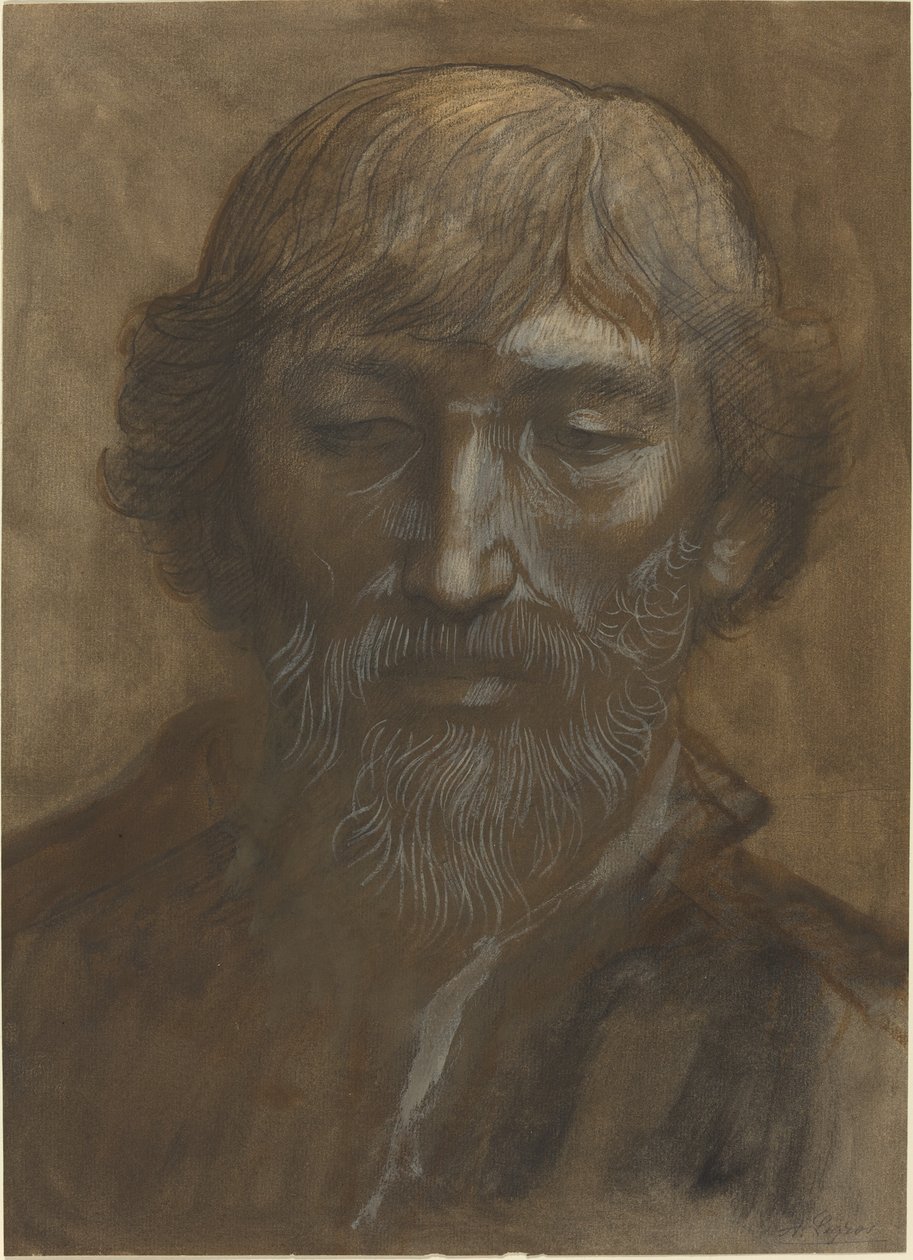Hlava muže, plná tvář. od Alphonse Legros