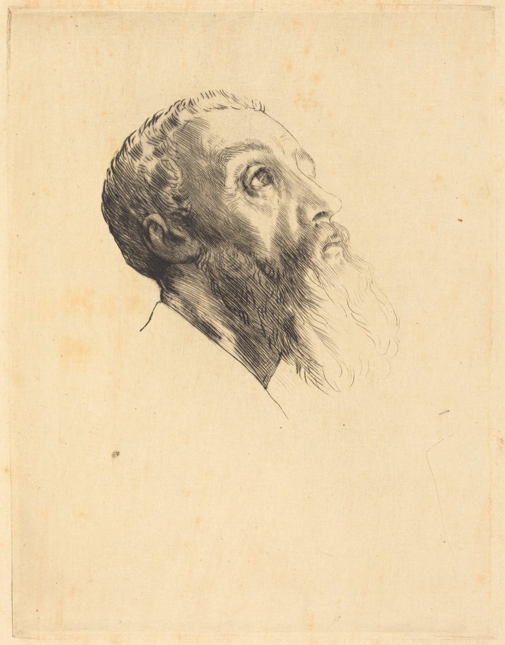 Hlavy modelů (Tete de modele) od Alphonse Legros