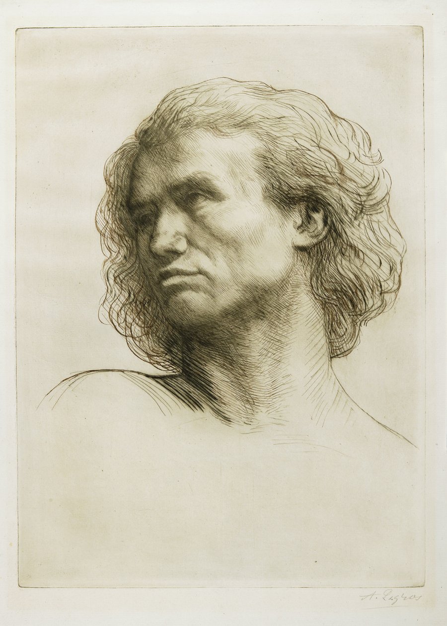Hlava modelu, 1877 od Alphonse Legros