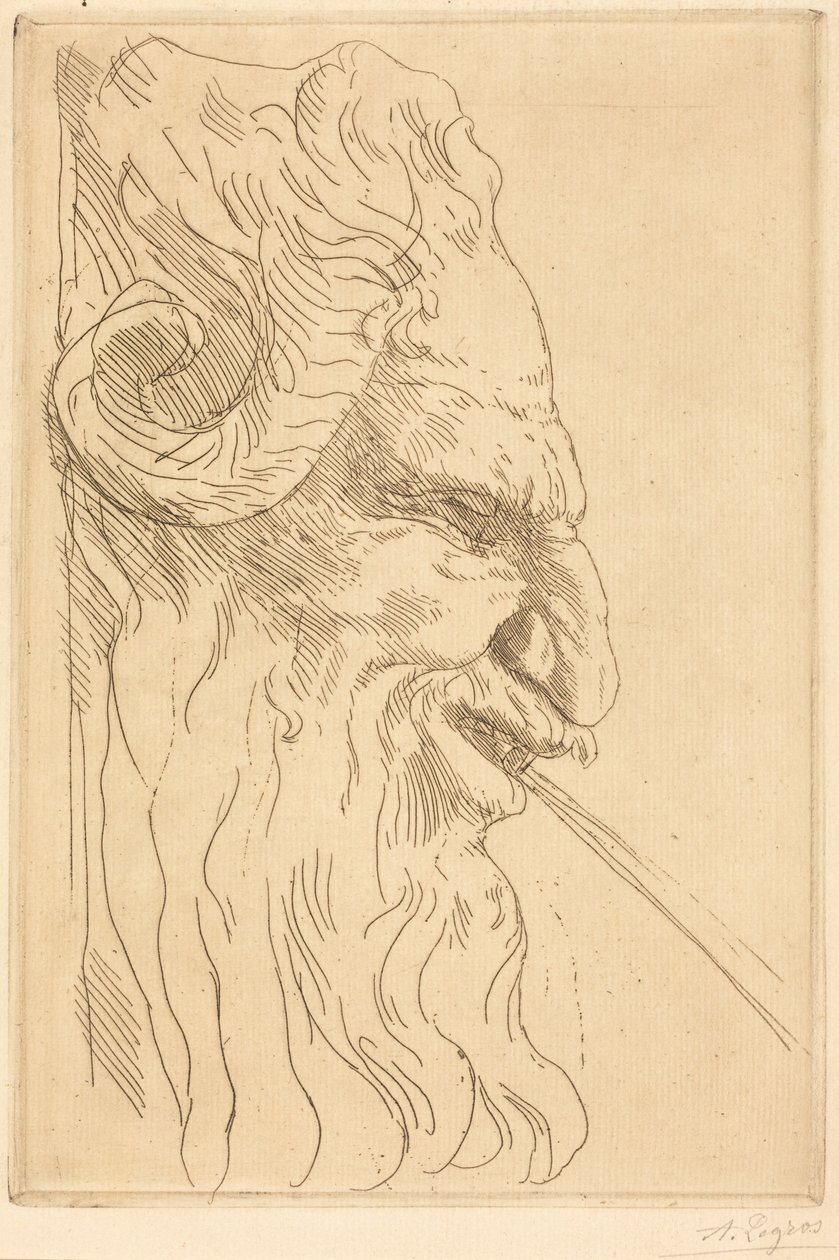 Hlava satyra od Alphonse Legros