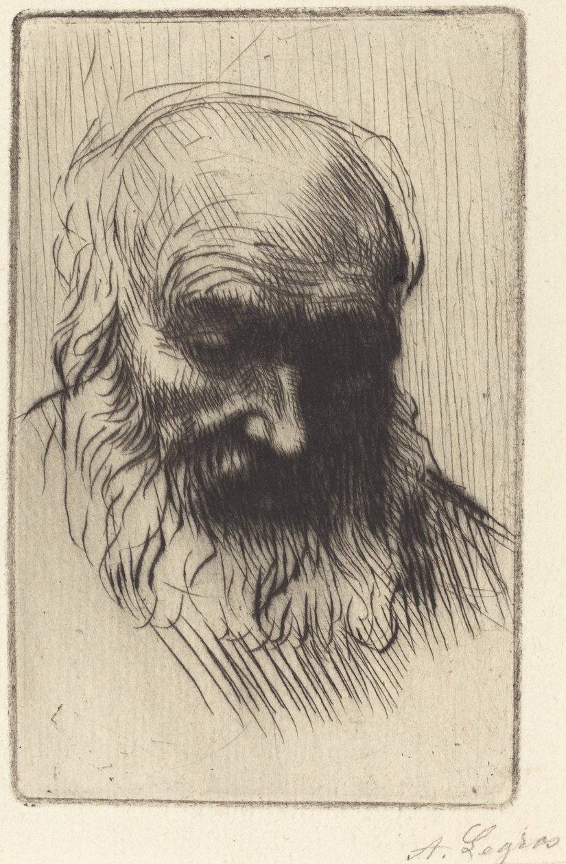 Hlava starého muže (Etude de tete) od Alphonse Legros