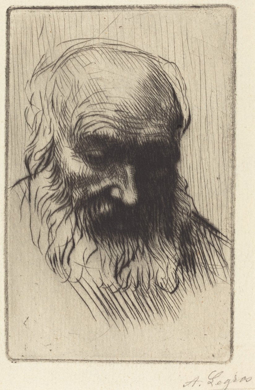 Hlava starého muže (Etude de tete) od Alphonse Legros