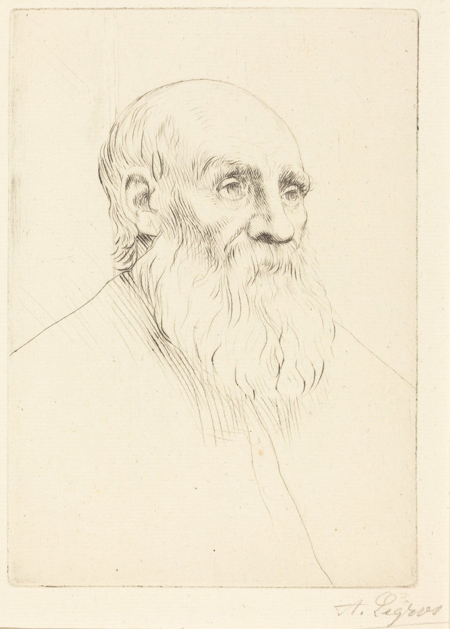 Hlava starého muže (studie hlavy) od Alphonse Legros