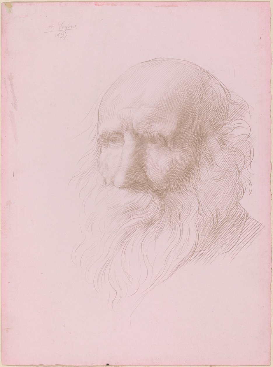 Hlava starého muže od Alphonse Legros