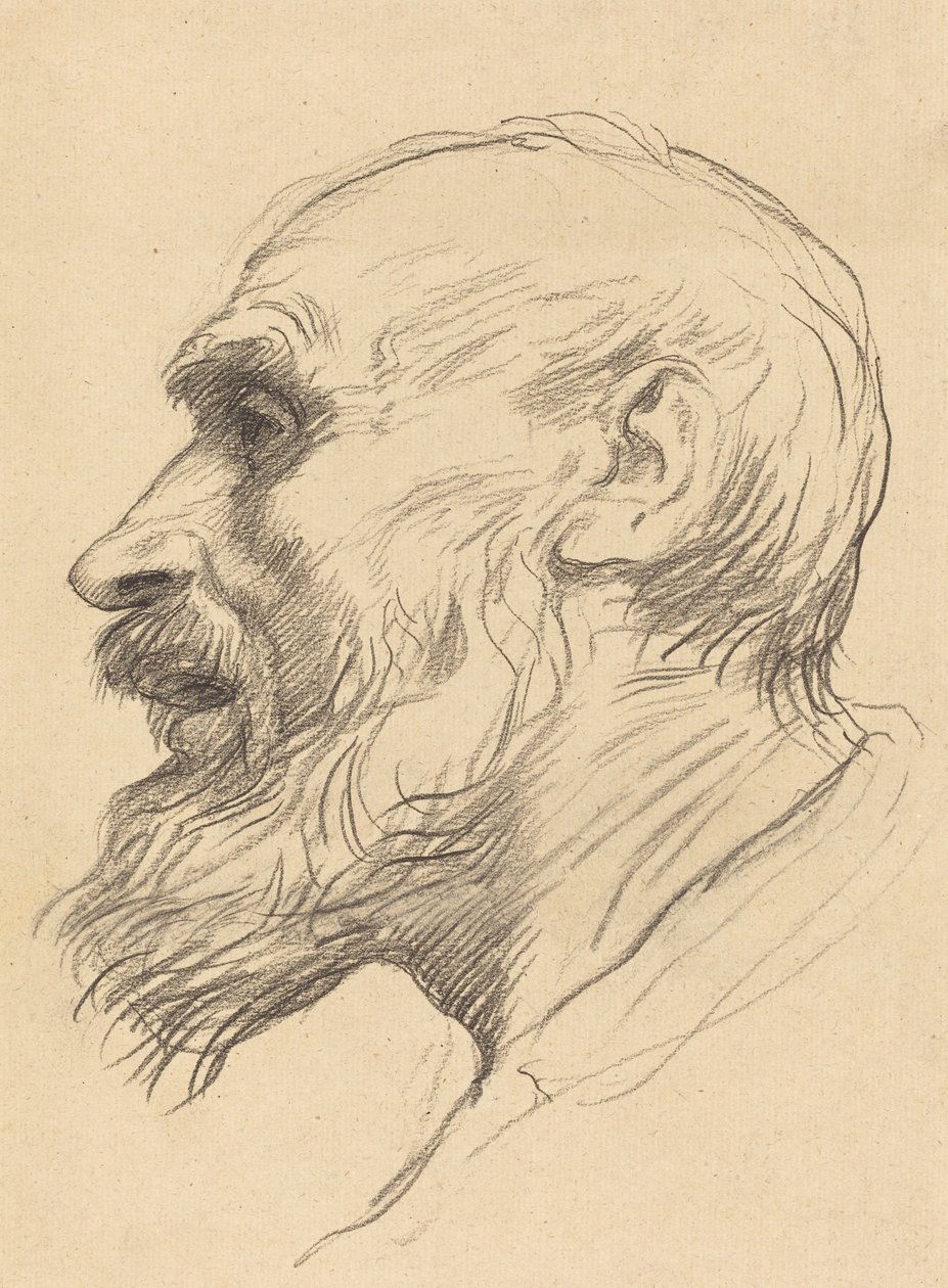 Hlava starého muže od Alphonse Legros