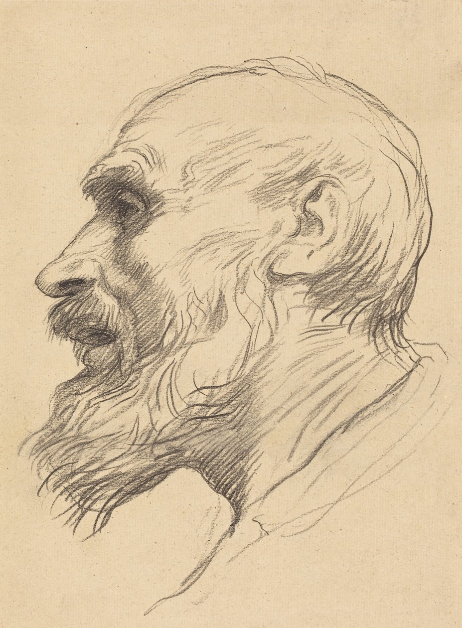 Hlava starého muže od Alphonse Legros
