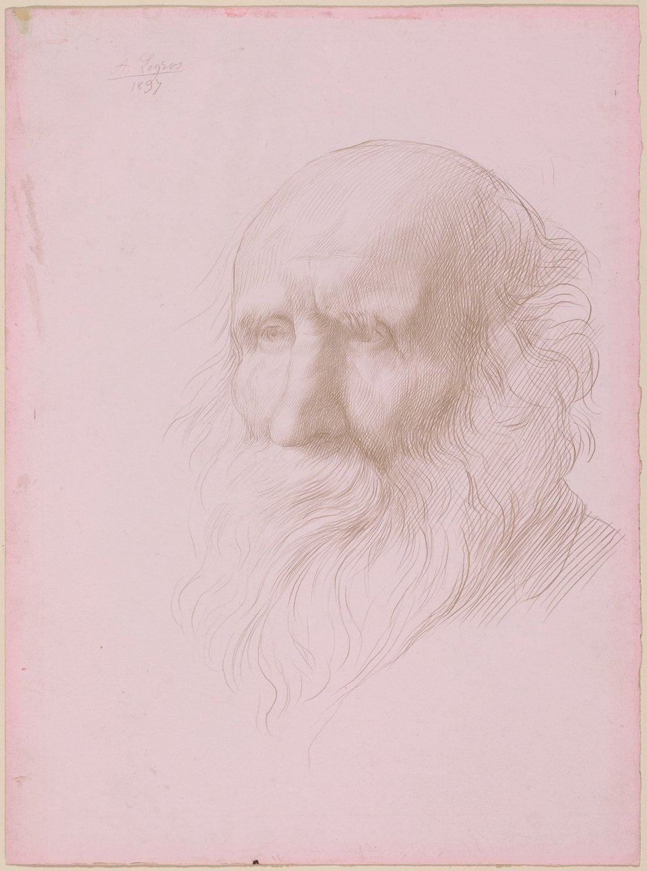Hlava starého muže od Alphonse Legros