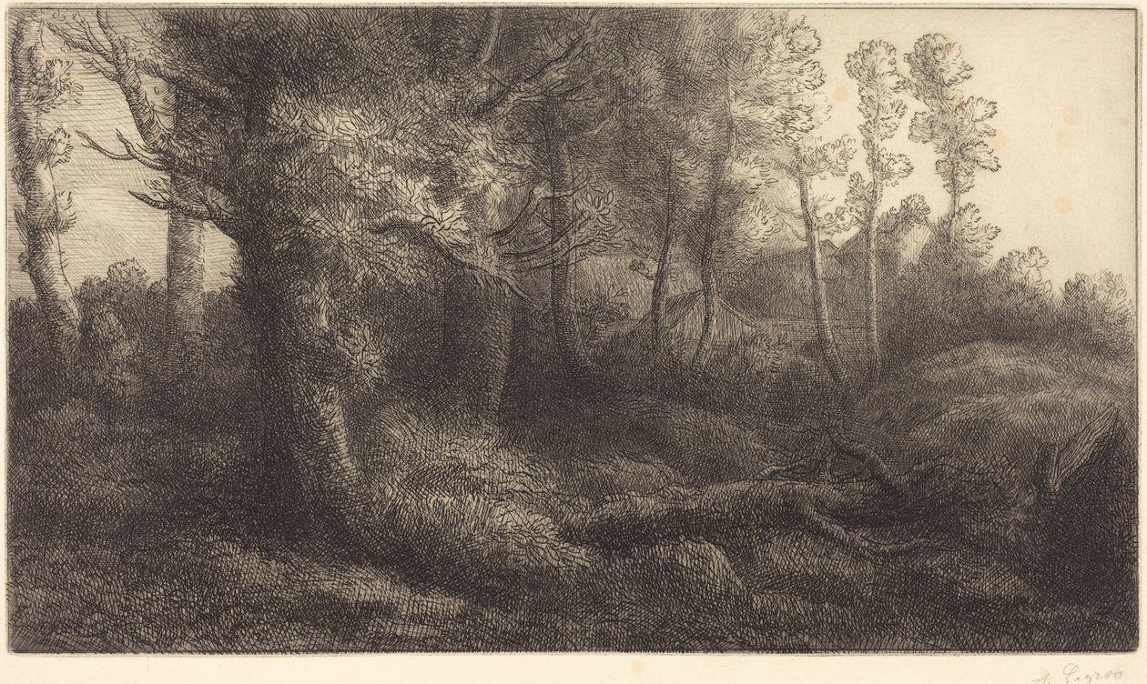 V lese (Lisière de forêt) od Alphonse Legros