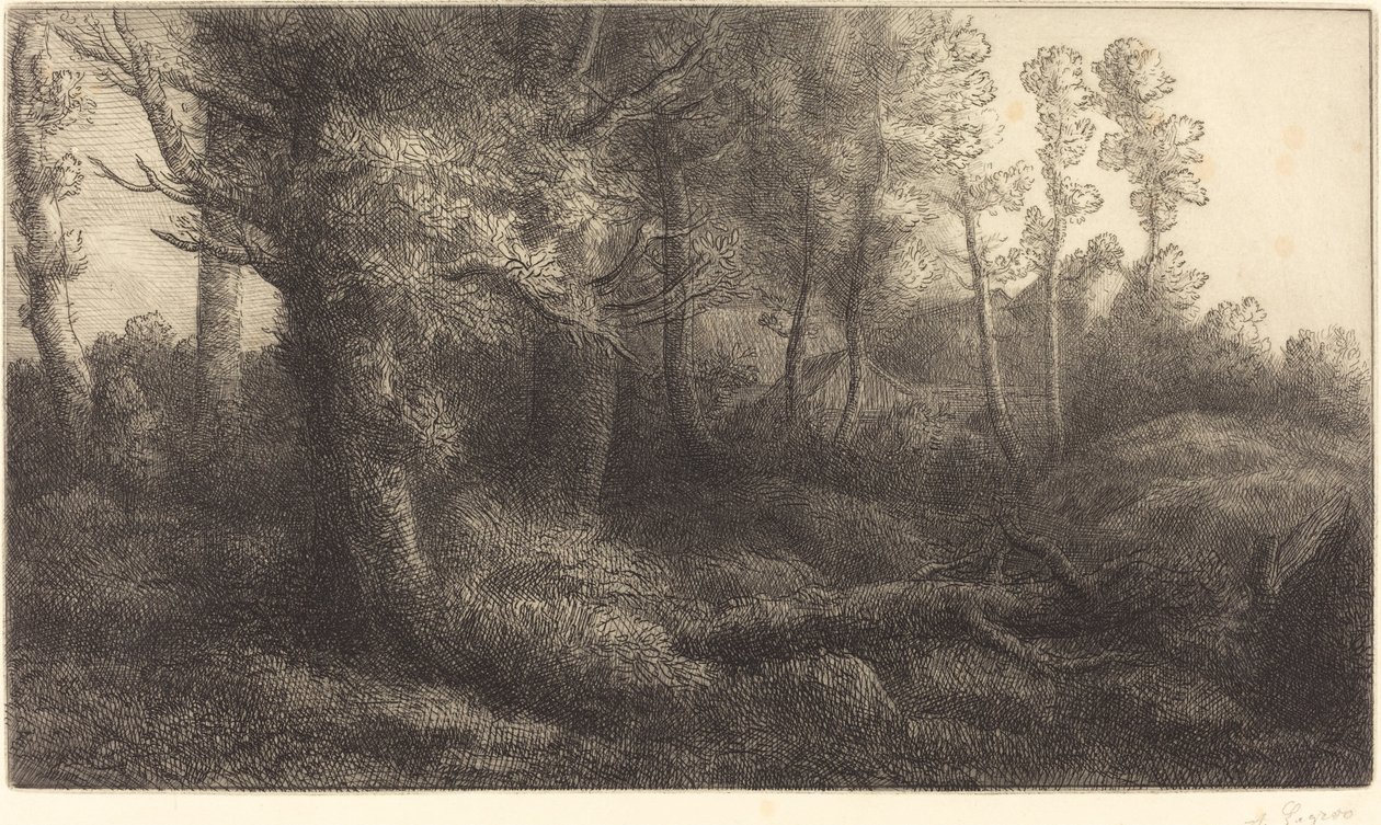 V lese Lisiere de foret. od Alphonse Legros