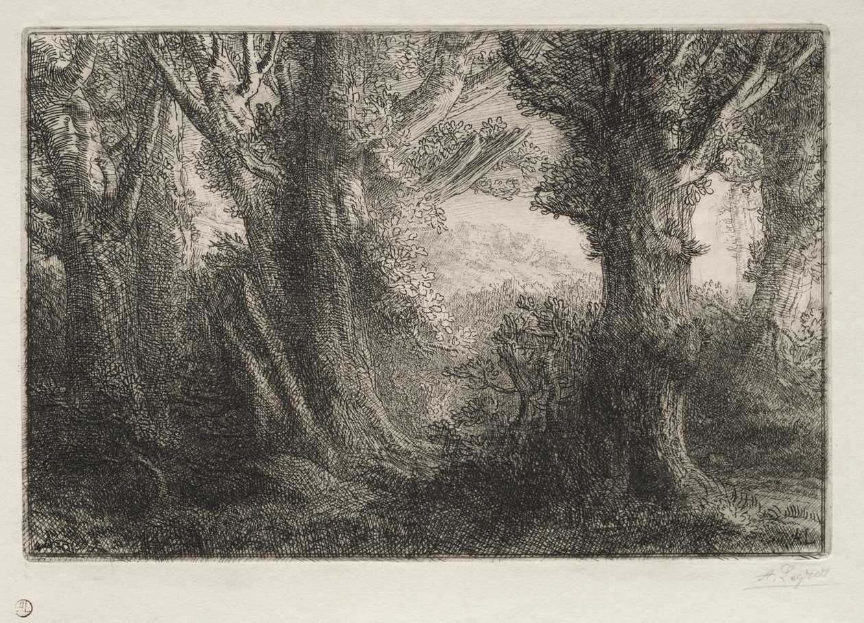 V lese v Conteville od Alphonse Legros