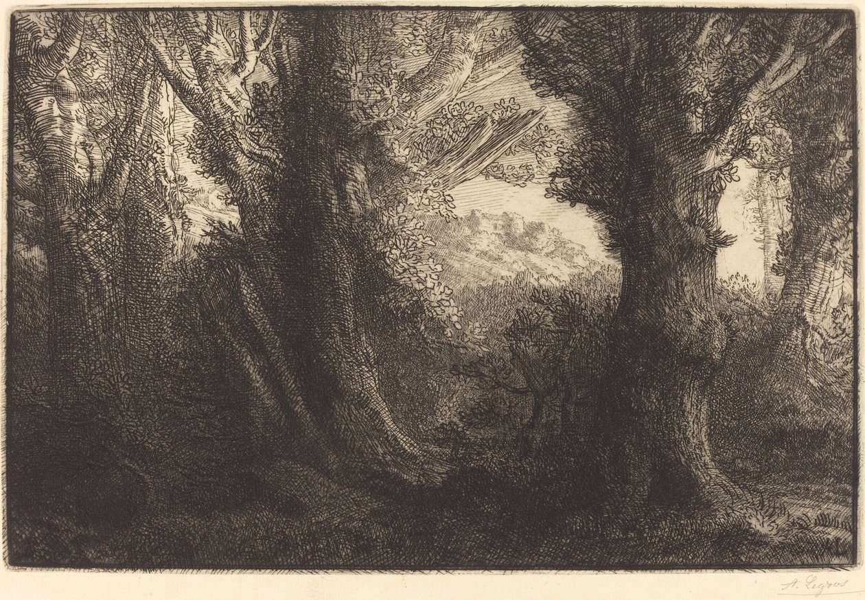 V lese Conteville (Dans la foret de Conteville) od Alphonse Legros