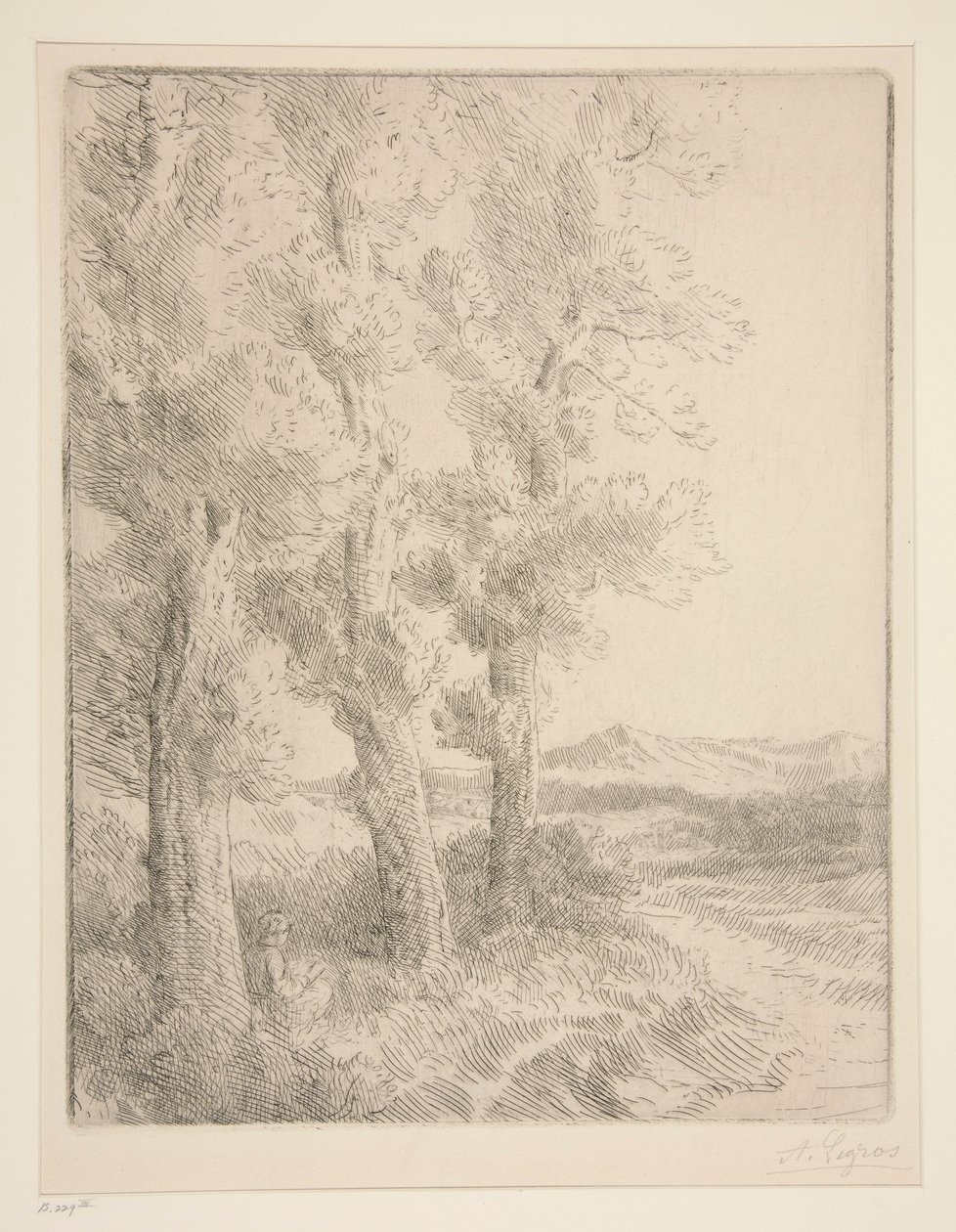 Žena čte: Lekce pod stromy od Alphonse Legros