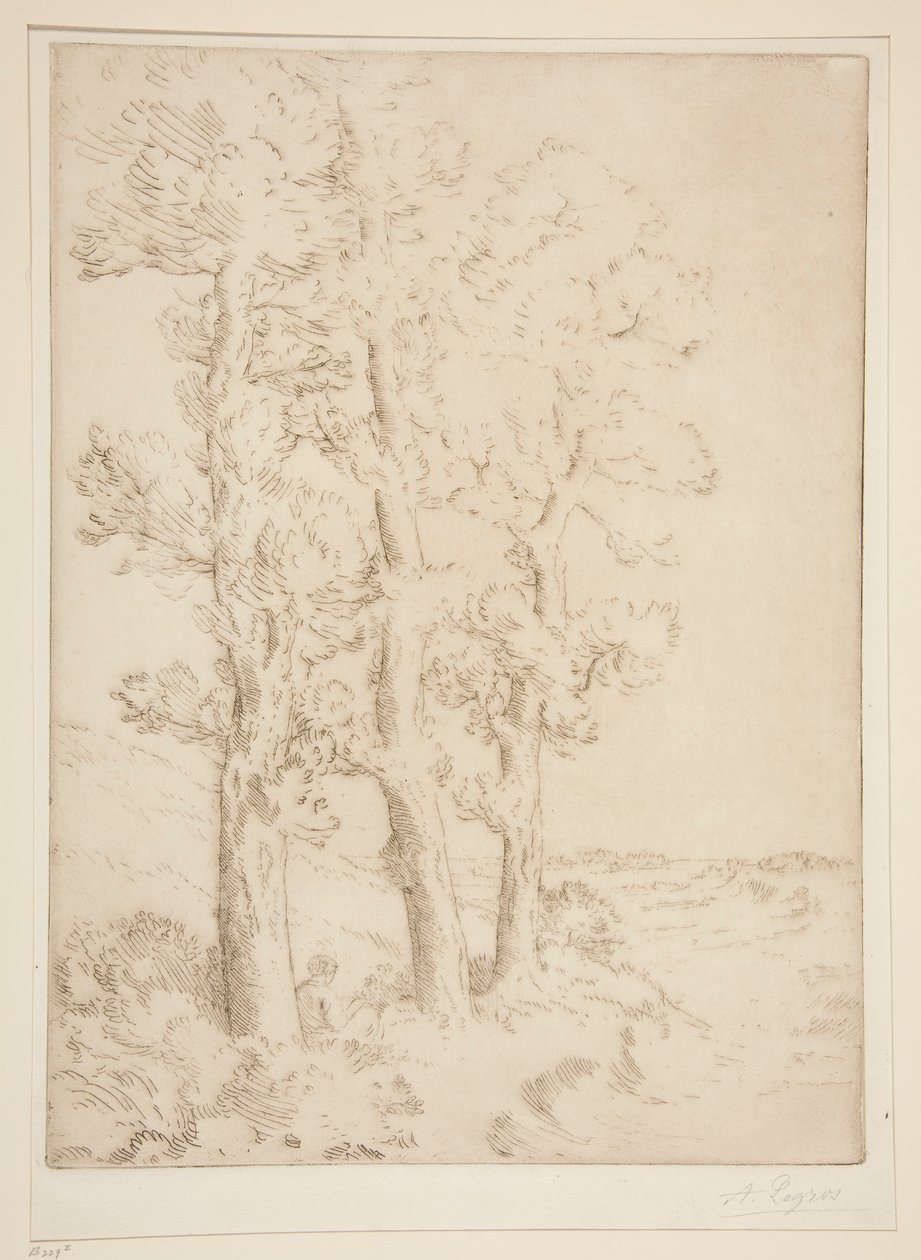Žena čte: Lekce pod stromy od Alphonse Legros