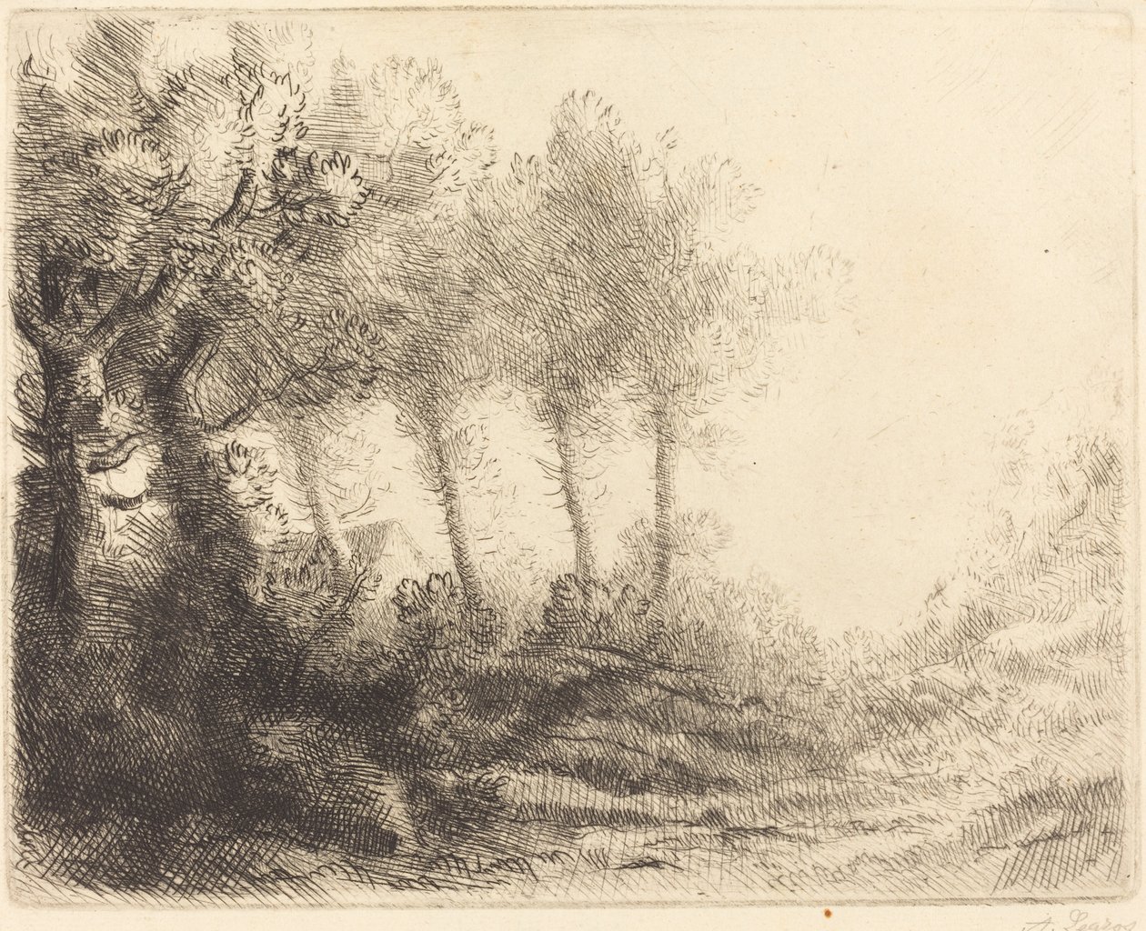 Krajina od Alphonse Legros