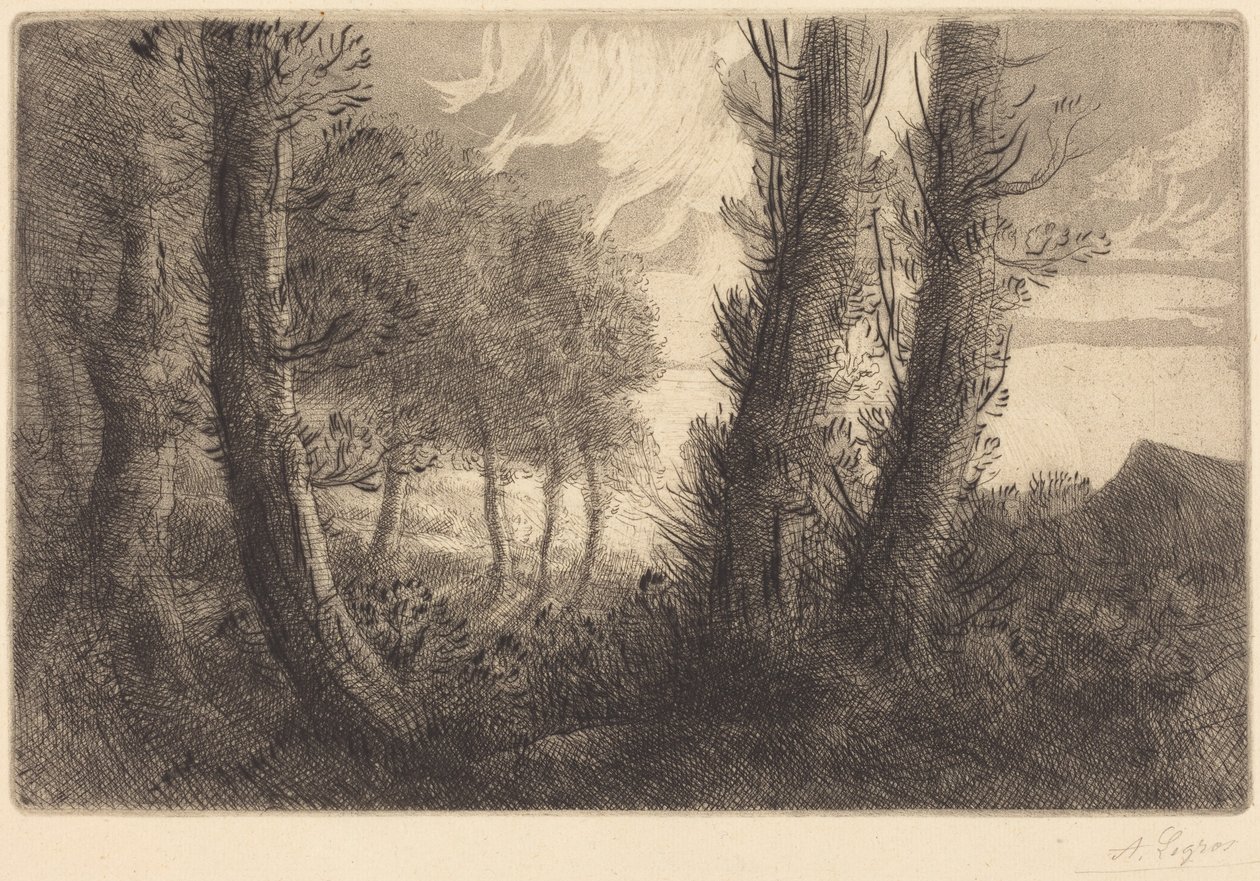 Krajina od Alphonse Legros