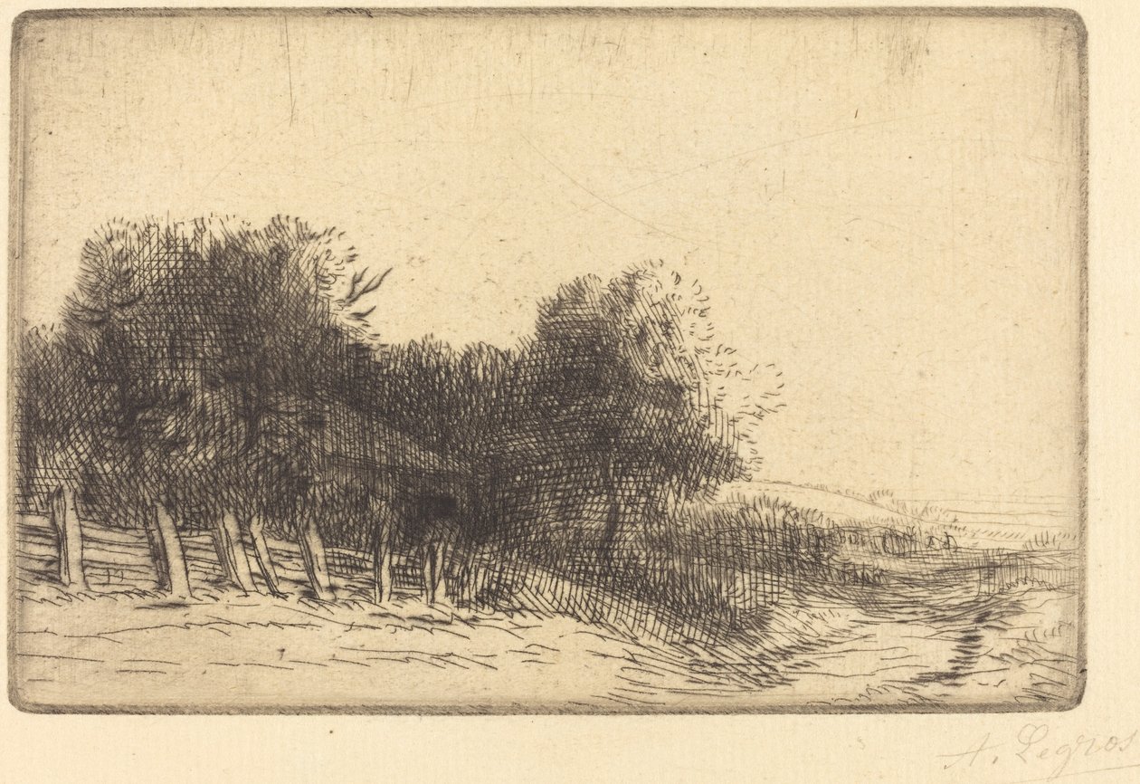 Krajina od Alphonse Legros