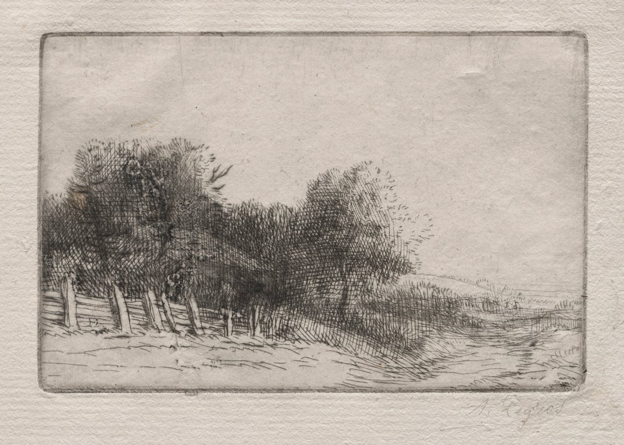 Krajina Krajina. od Alphonse Legros