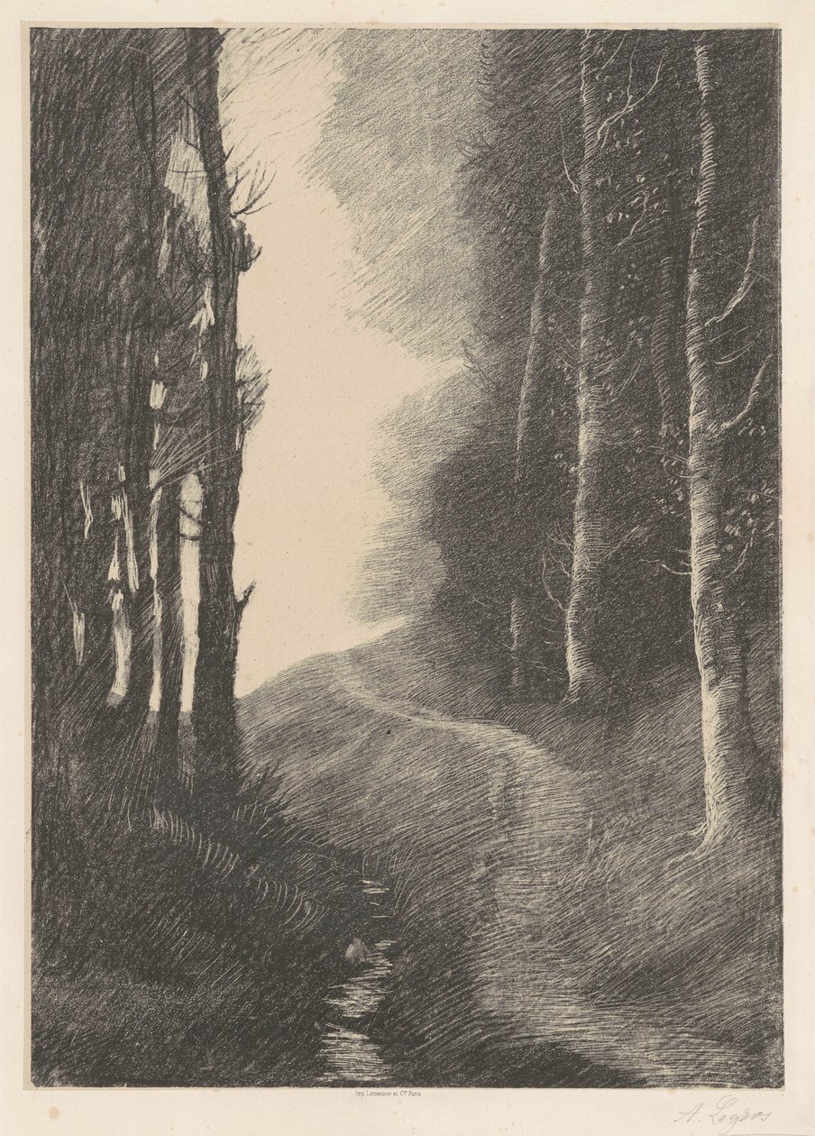 Krajina s břízami (Le Paysage aux Bouleaux) od Alphonse Legros