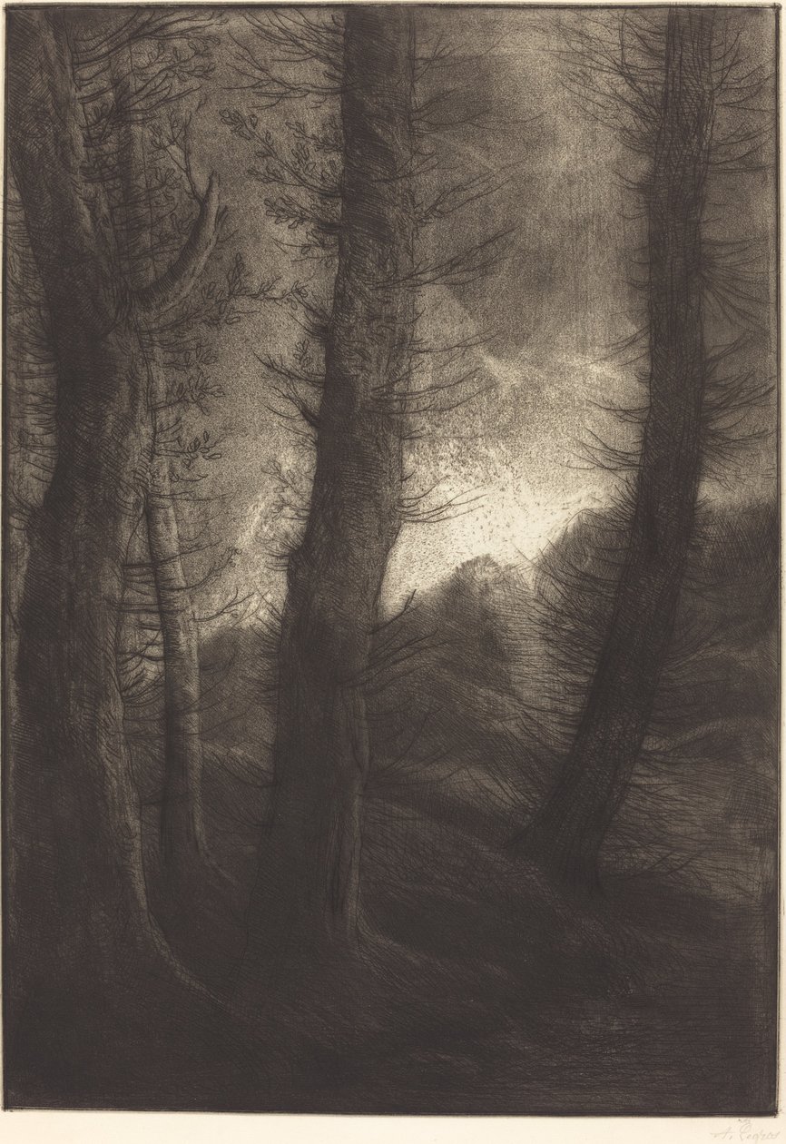 Velké stromy při pohledu proti slunci od Alphonse Legros