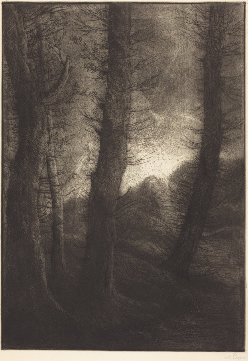 Vysoké stromy na pozadí slunce  (Vysoké stromy: Večerní efekt) od Alphonse Legros