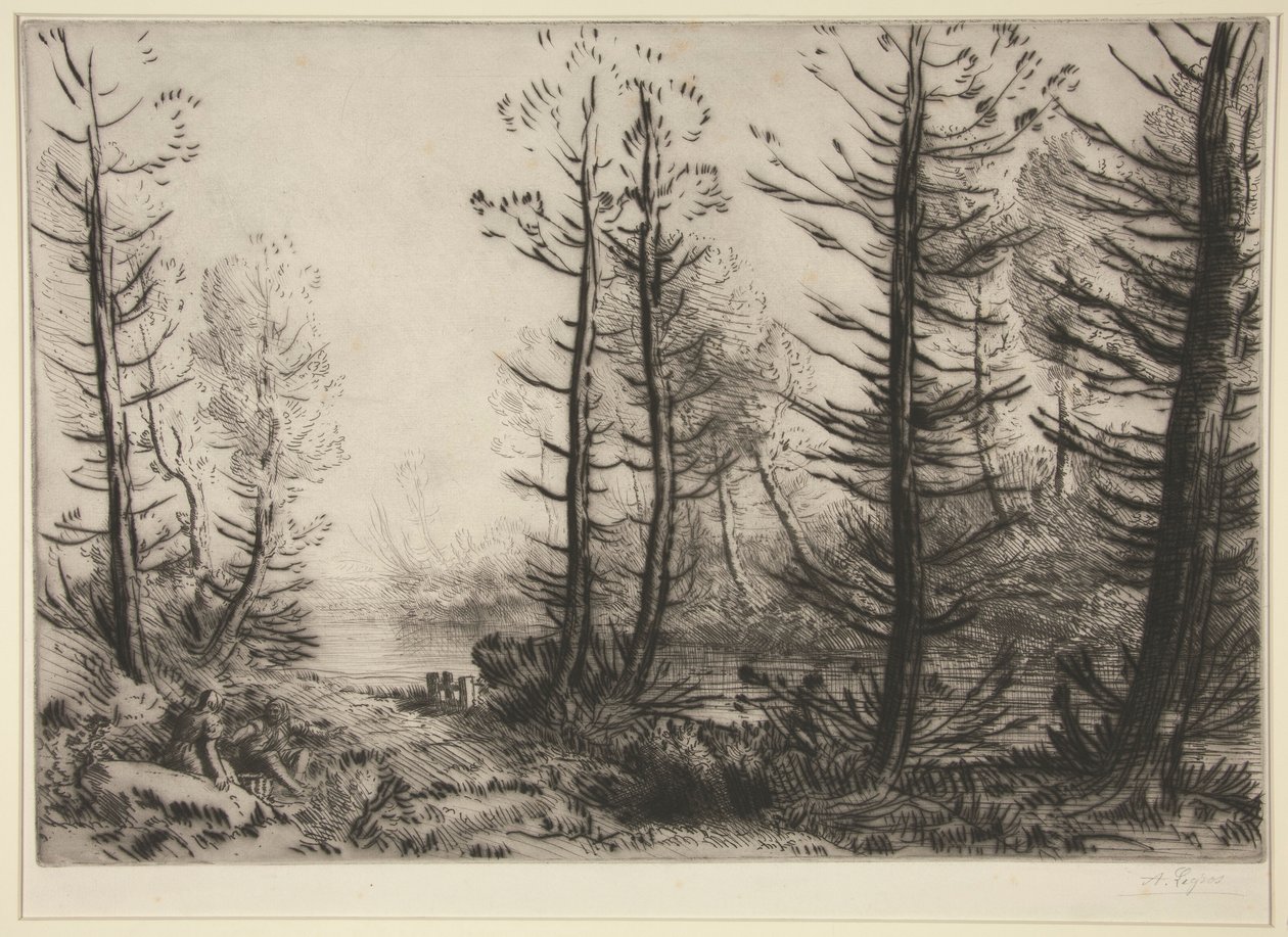 Canal Grande od Alphonse Legros