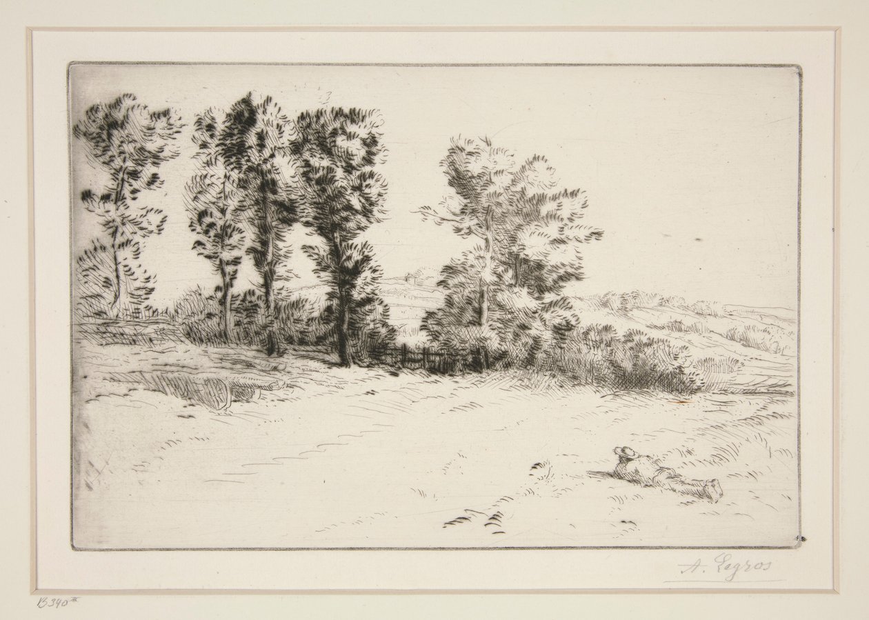 Le pre ensoleille (louka ve slunci) od Alphonse Legros