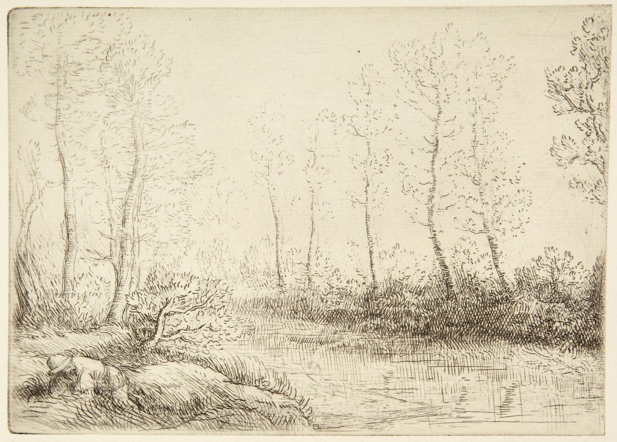 Břízy od Alphonse Legros