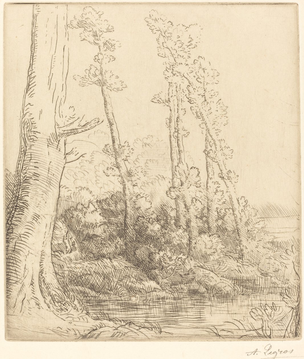 Malý rybník (La petite mare) od Alphonse Legros