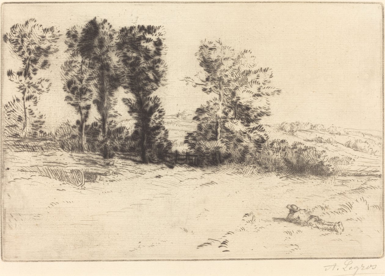 Louka v Sunshine Le pre ensoleille. od Alphonse Legros