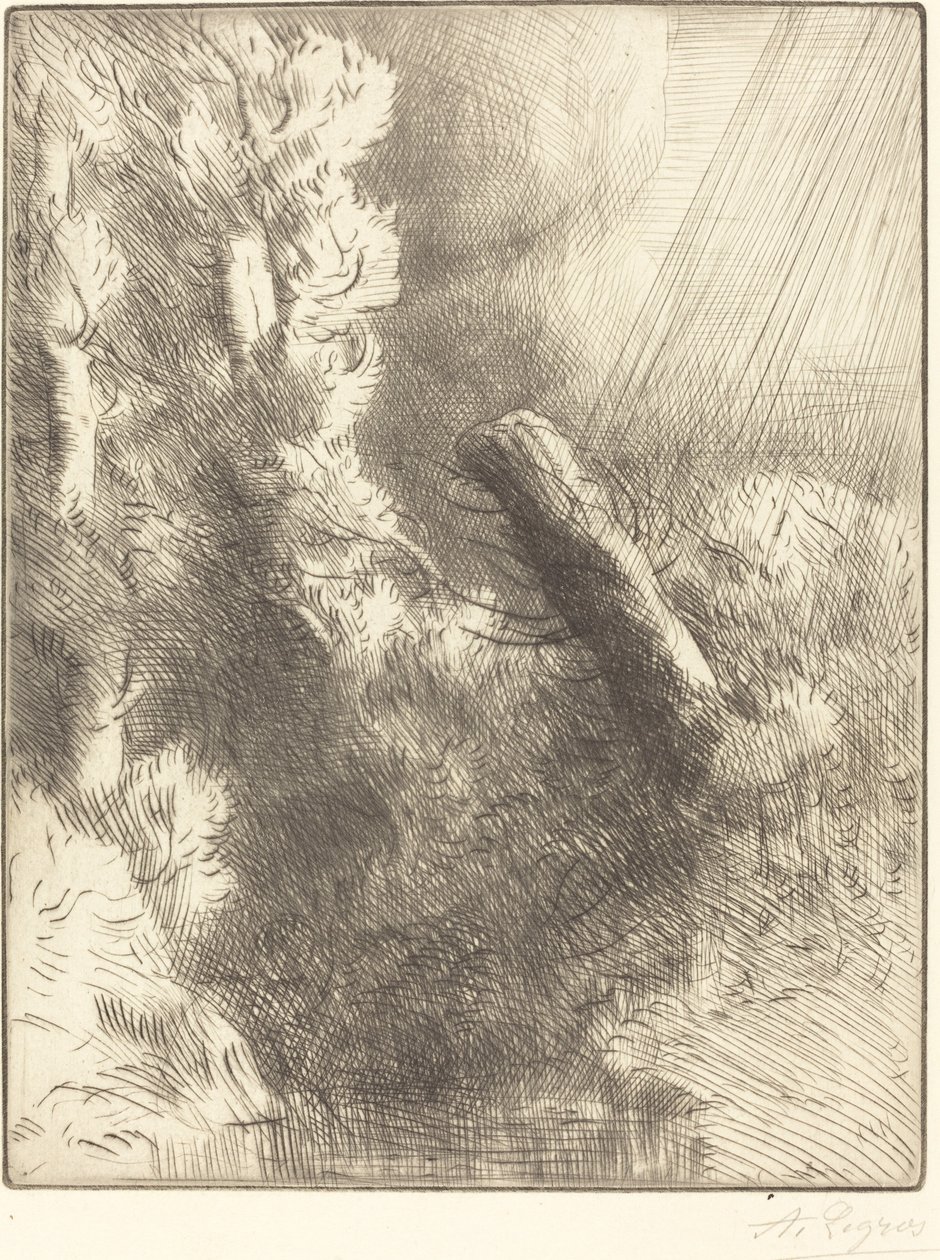 Vzpomínky na Fountainebleau v dešti od Alphonse Legros