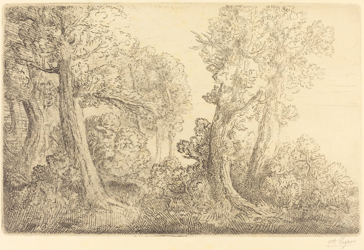 Near the Woods, Veronne (Pres du bois, Veronne) od Alphonse Legros