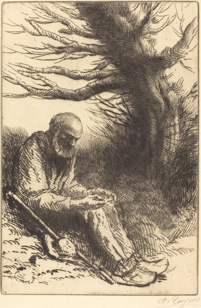 Starý muž, starý strom od Alphonse Legros