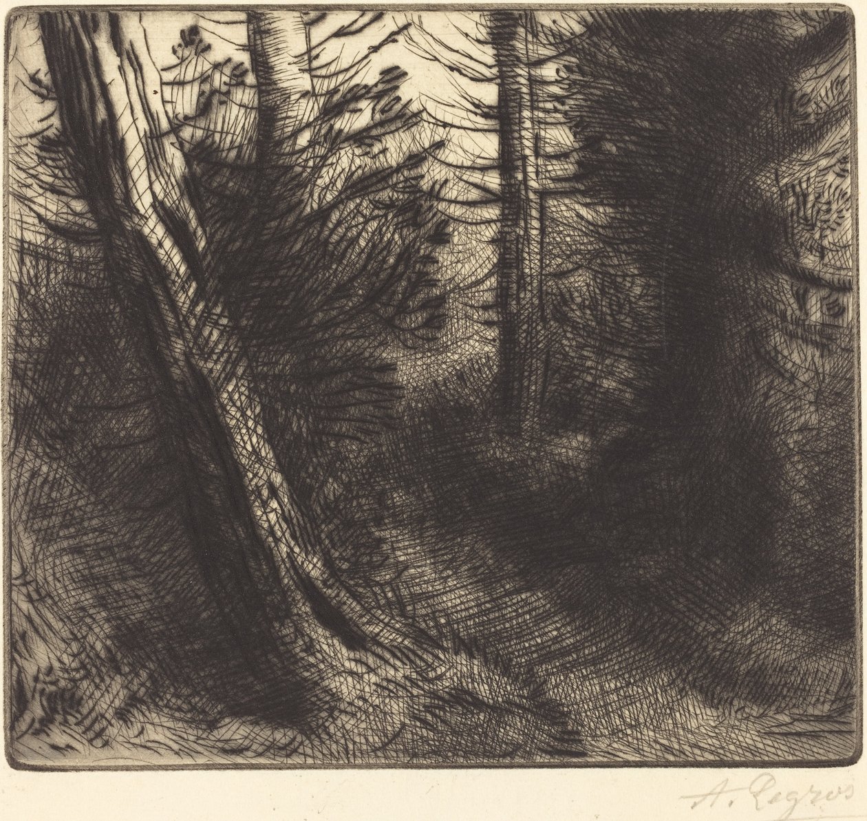 Cesta lesem od Alphonse Legros