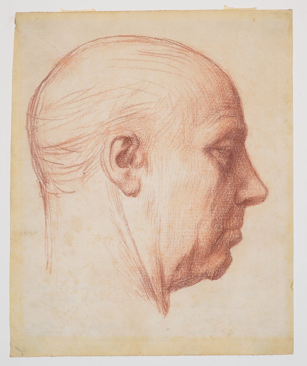 Profil muže od Alphonse Legros