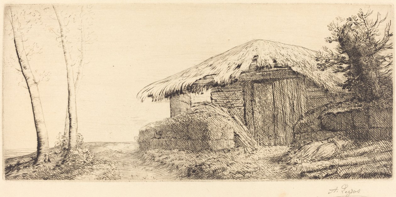 Shepherd