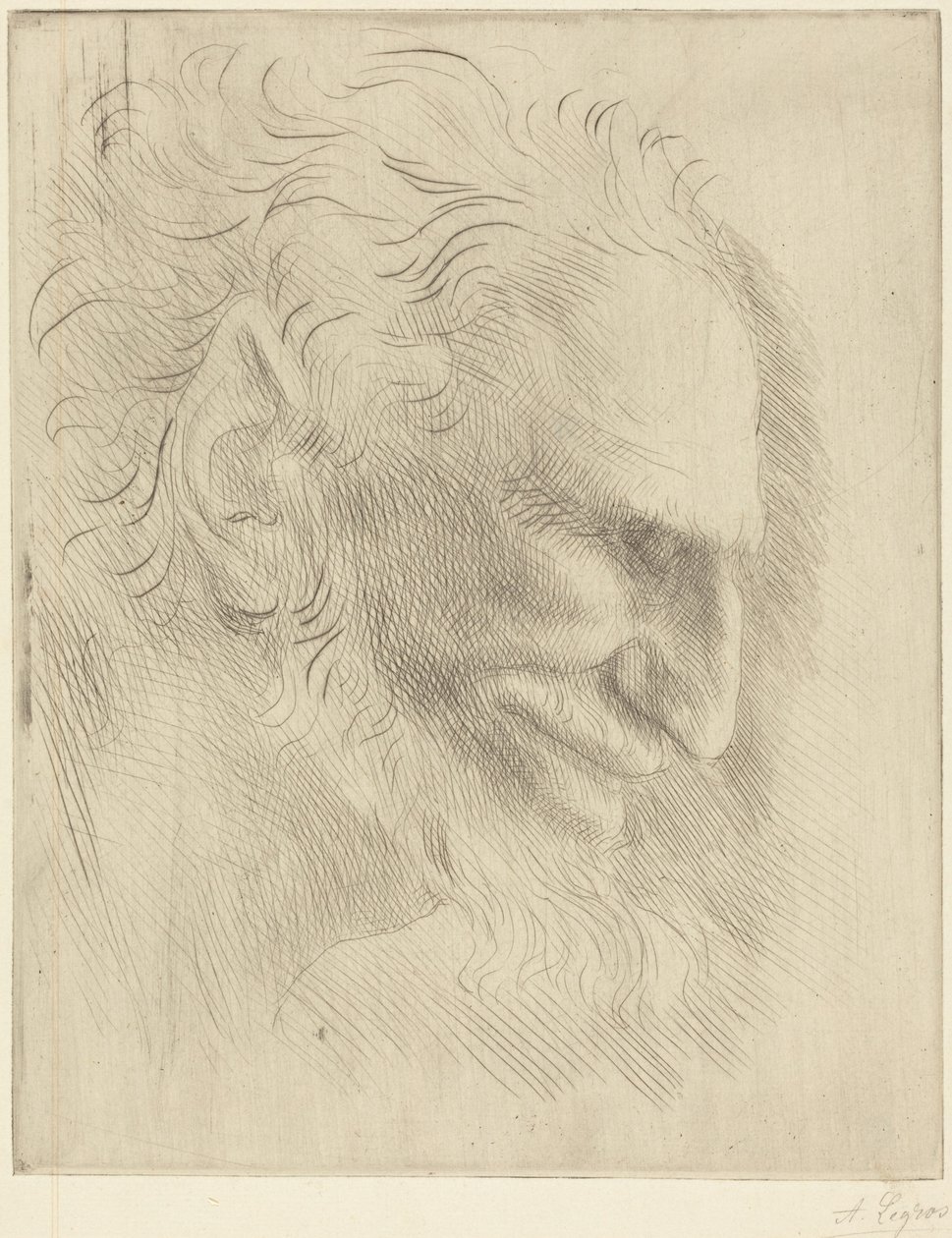 Studie hlavy muže od Alphonse Legros
