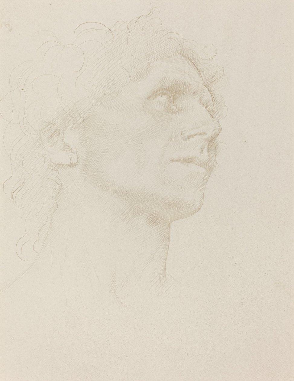 Studie ženské hlavy, otočená doprava od Alphonse Legros