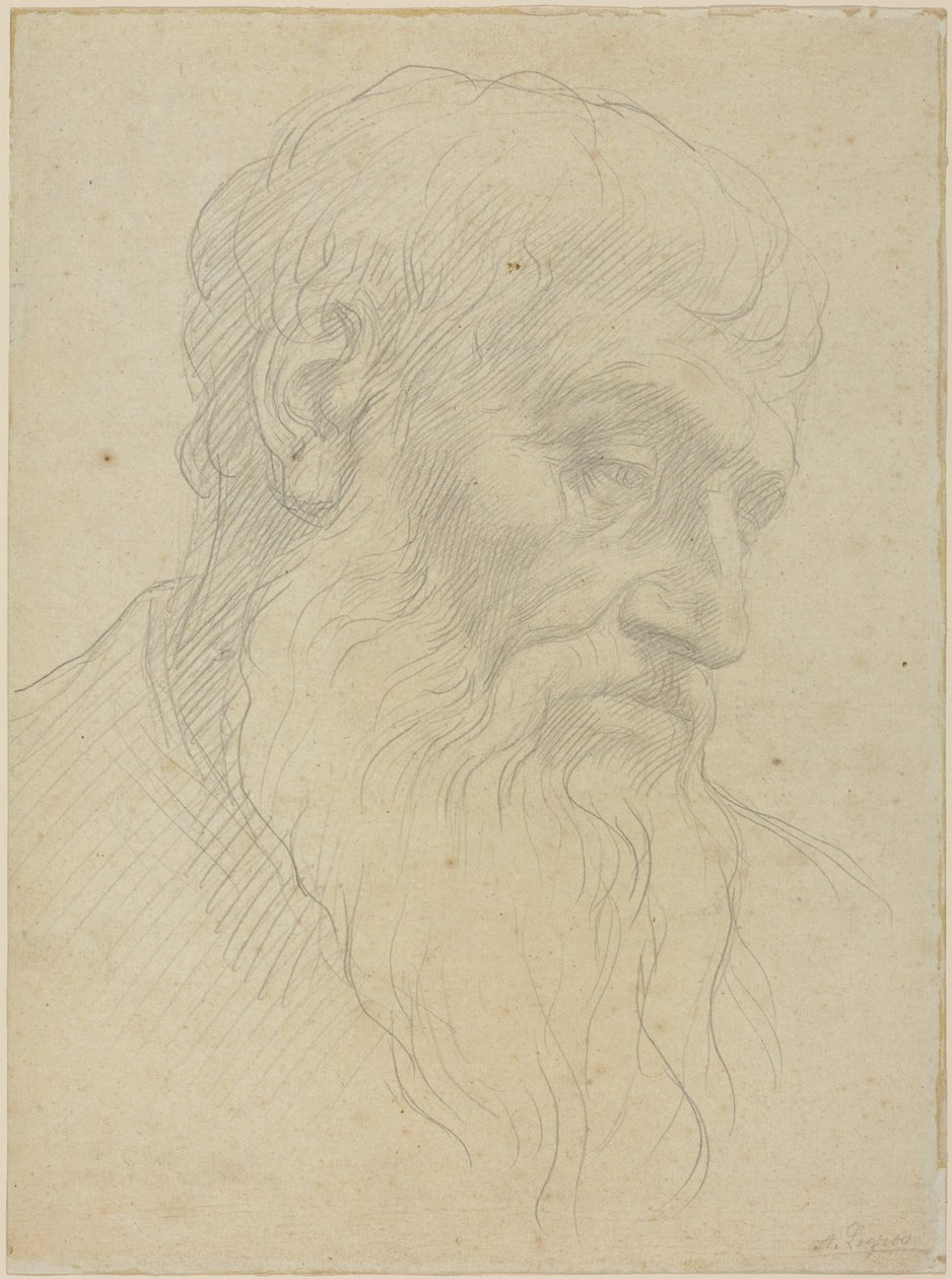 Studie hlavy od Alphonse Legros