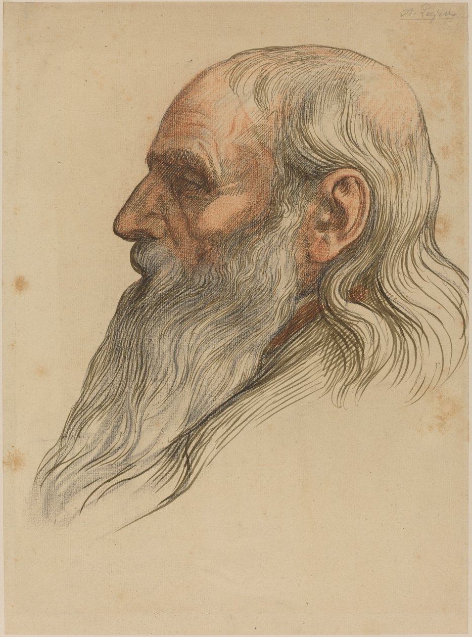 Studie mužské hlavy s plnovousem. od Alphonse Legros