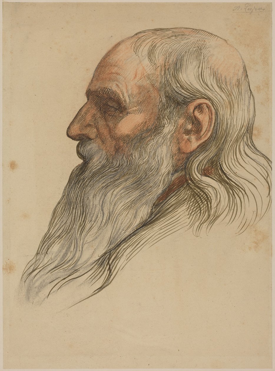 Studie mužské hlavy s plnovousem od Alphonse Legros