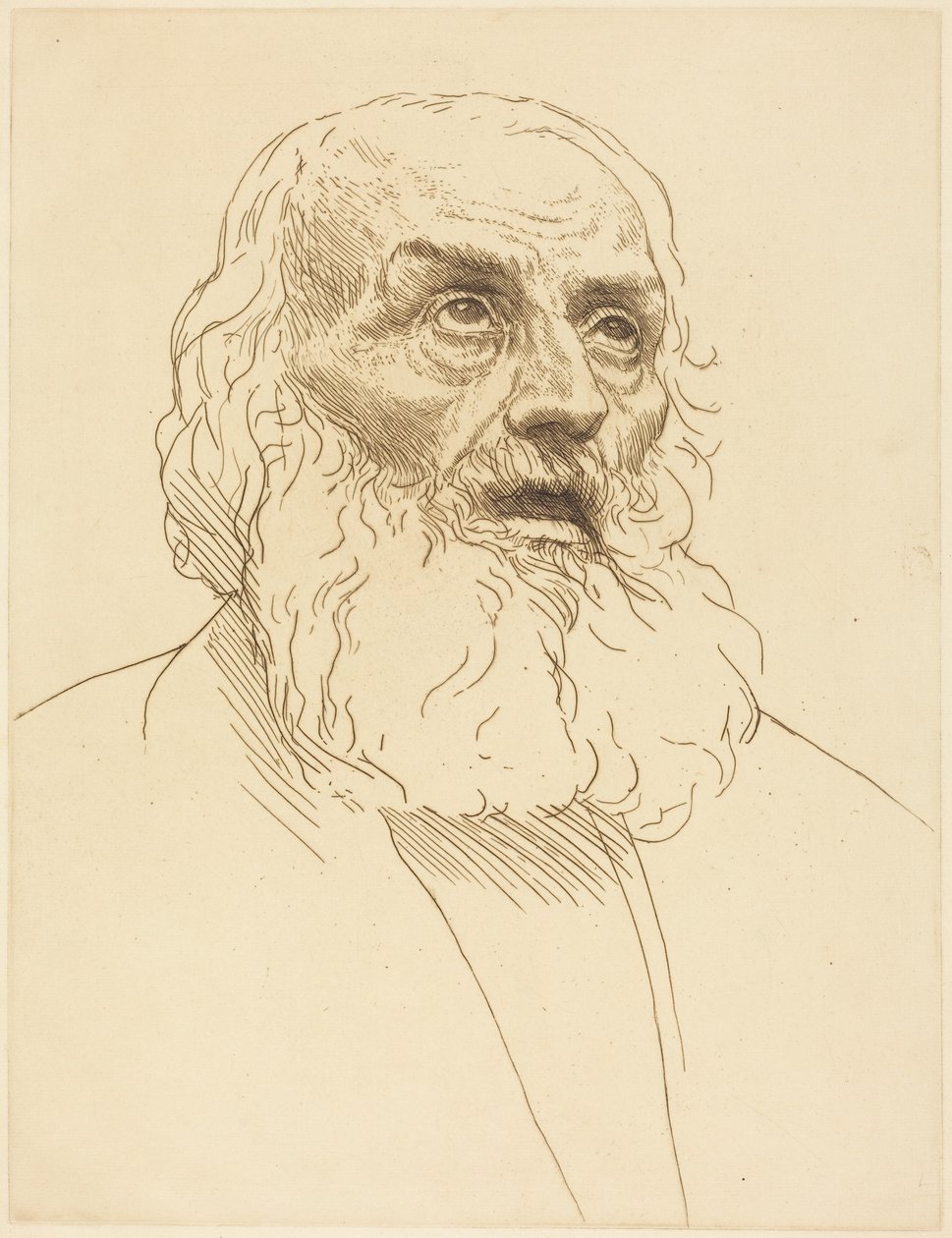 Studie starého muže (Etude de vieillard) od Alphonse Legros