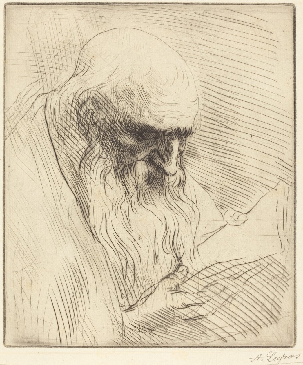 Studie hlavy čtoucího muže (Étude de tête d’homme lisant) od Alphonse Legros