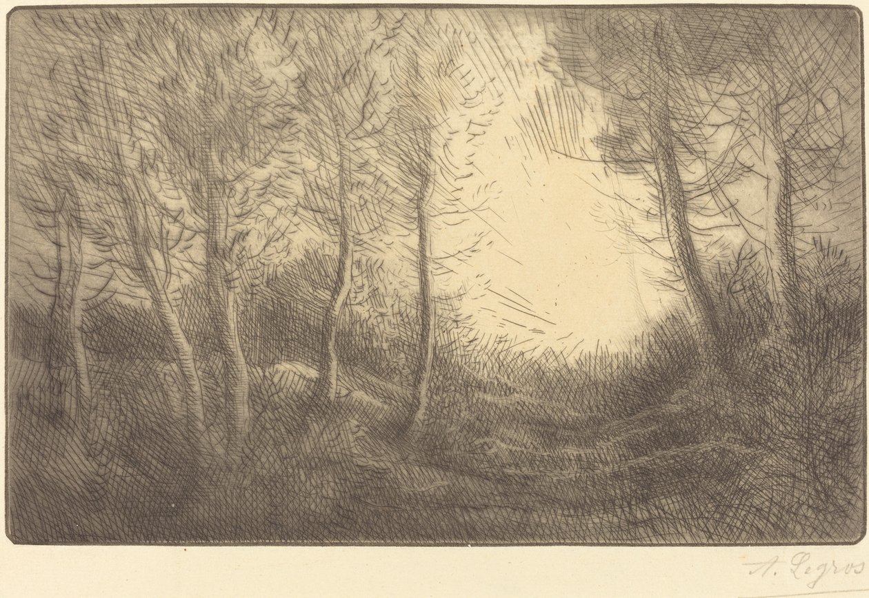 Východ slunce, Woods of Clamart Východ slunce, Woods of Clamart. od Alphonse Legros