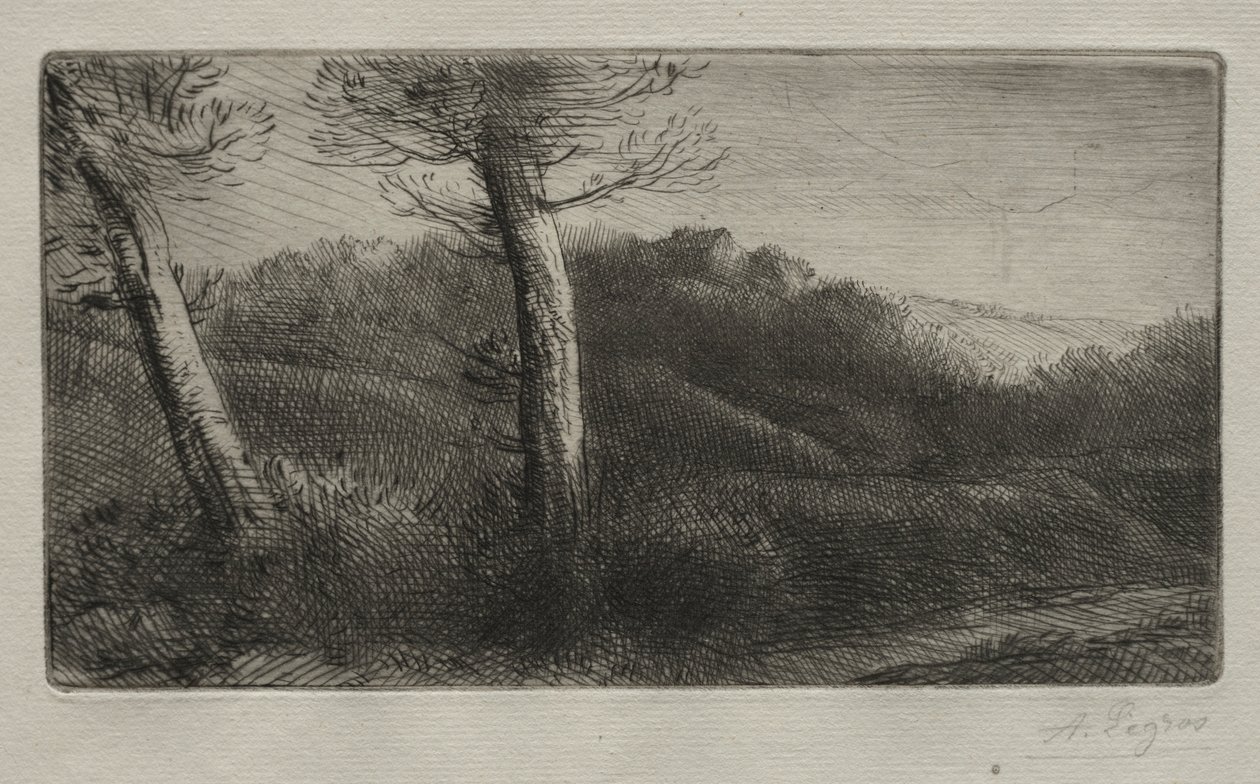 Cestovatel natažený na trávě, c. 1888. od Alphonse Legros
