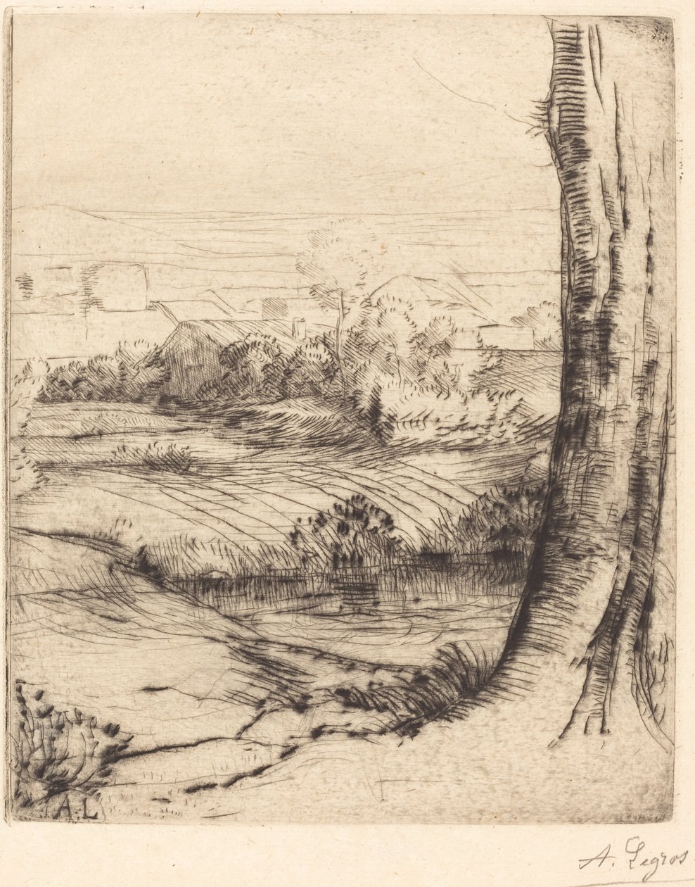 Pohled na Reeds Coin de roseau. od Alphonse Legros