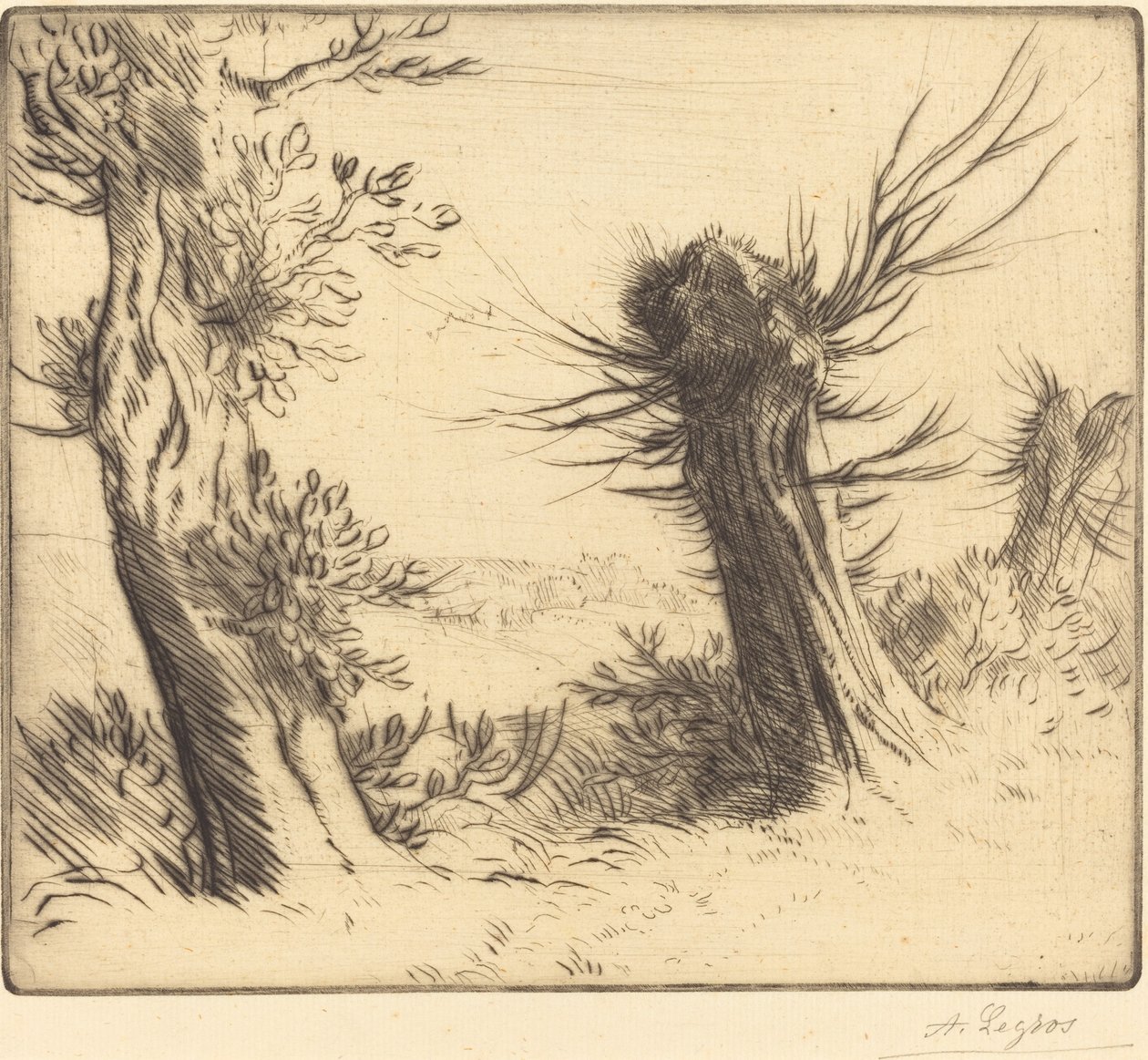 Vrby (Les saules) od Alphonse Legros